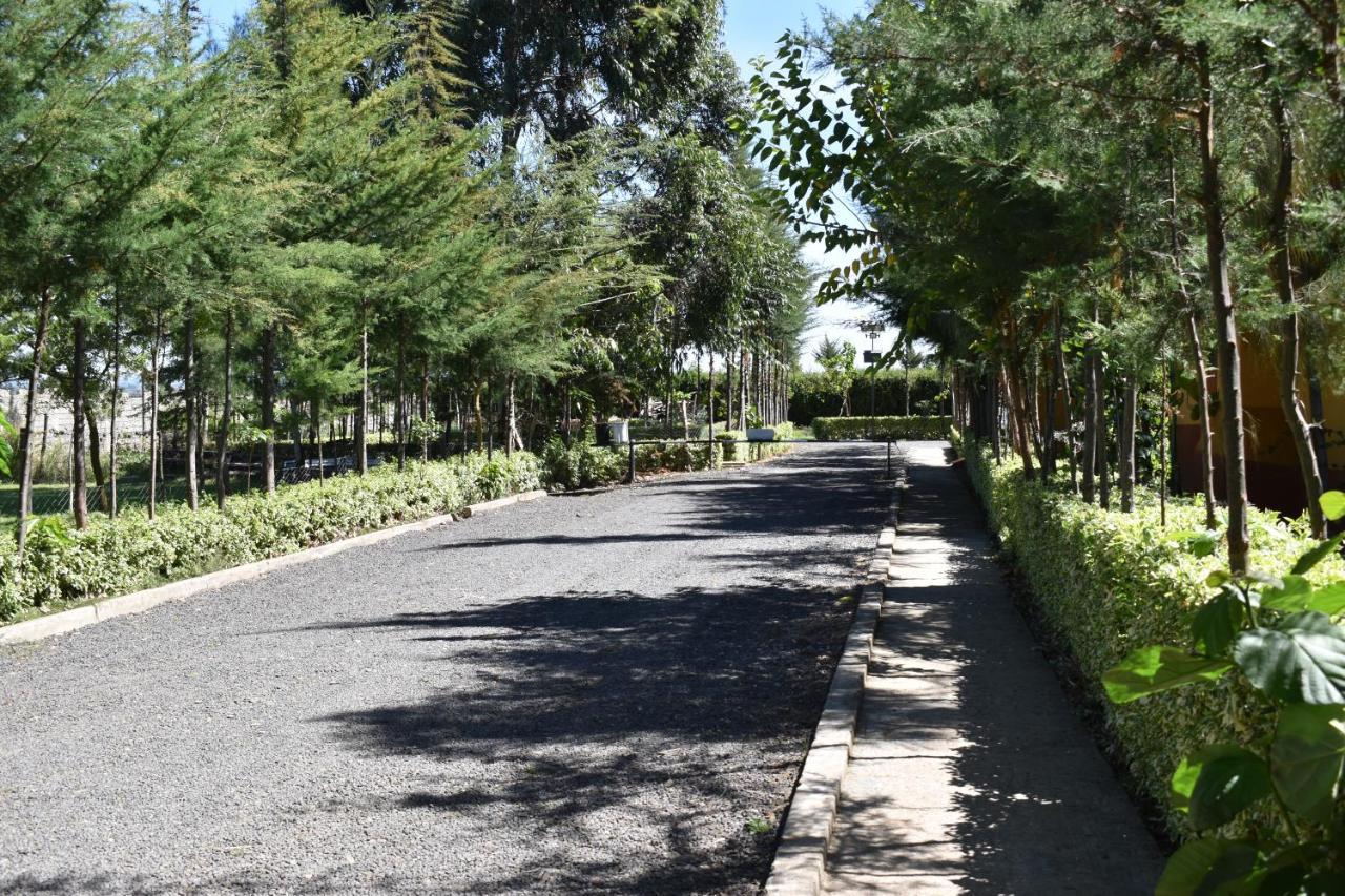 Anka Resort Naro Moru Bagian luar foto