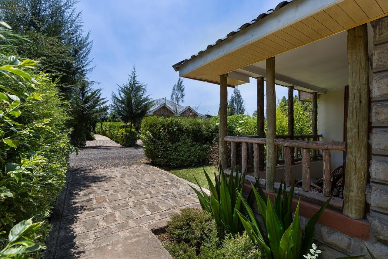 Anka Resort Naro Moru Bagian luar foto