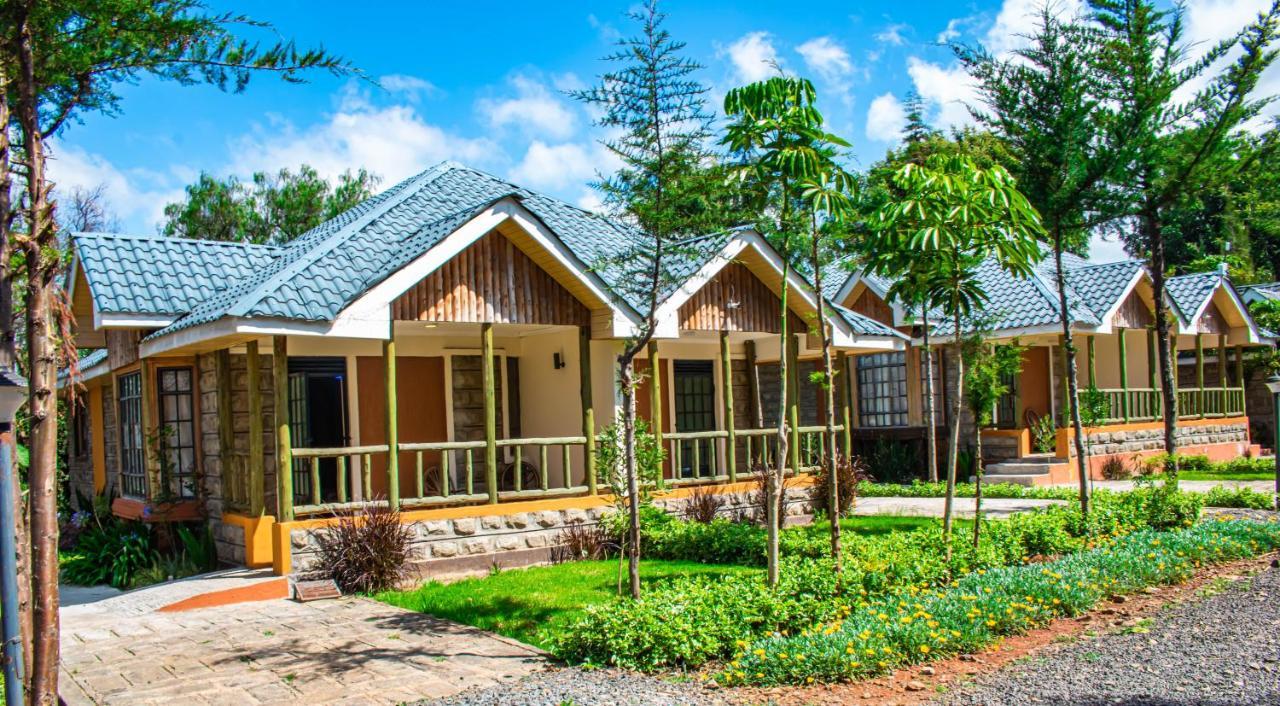 Anka Resort Naro Moru Bagian luar foto